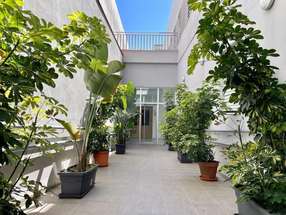 Playa 1 Apartment *